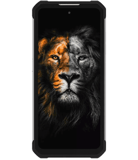 Ремонт Oukitel WP17 в Южно-Сахалинске